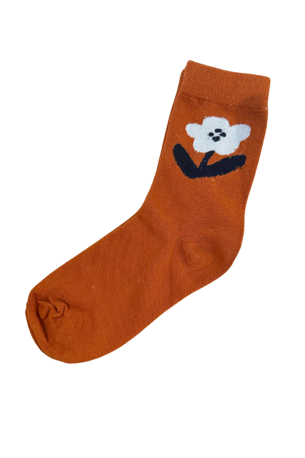Autumn Socks